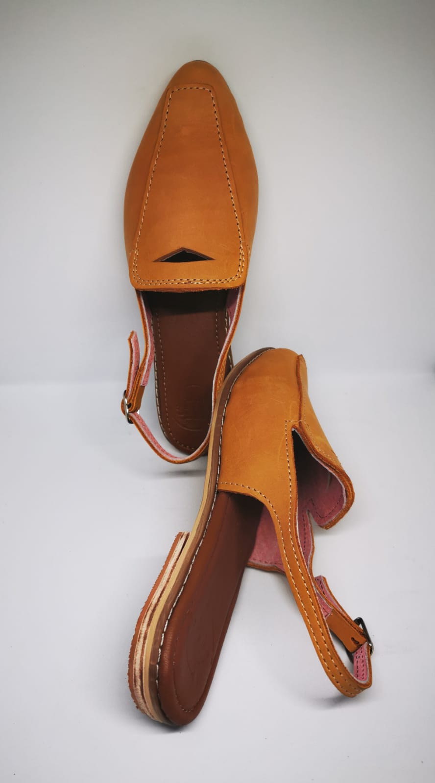 Rosa Pointed Toe Slingback Shoe