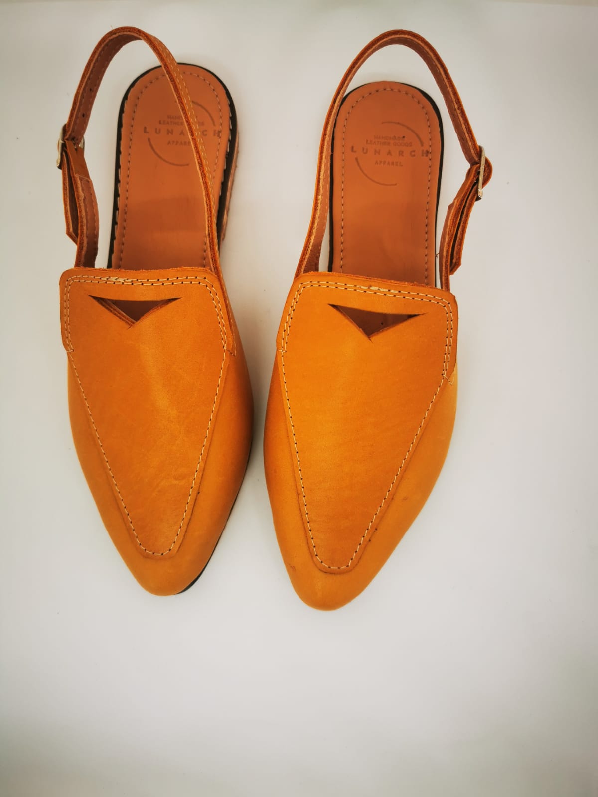Rosa Pointed Toe Slingback Shoe